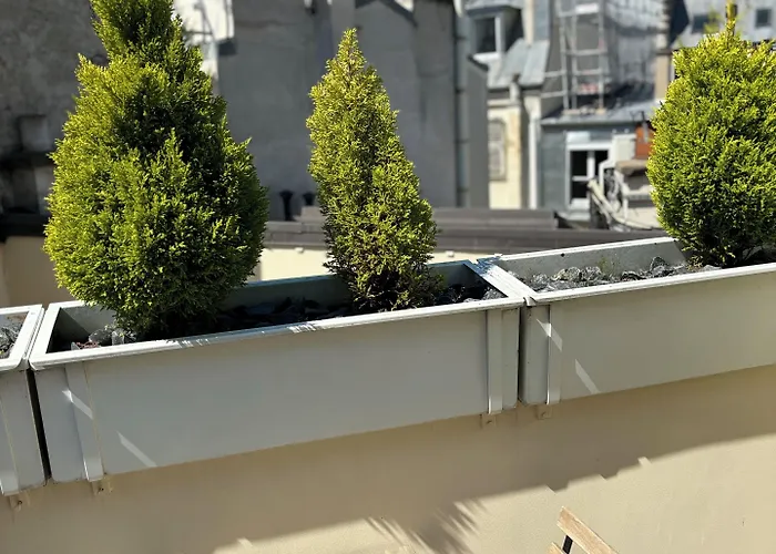 Hotell Posy By Happyculture 4*